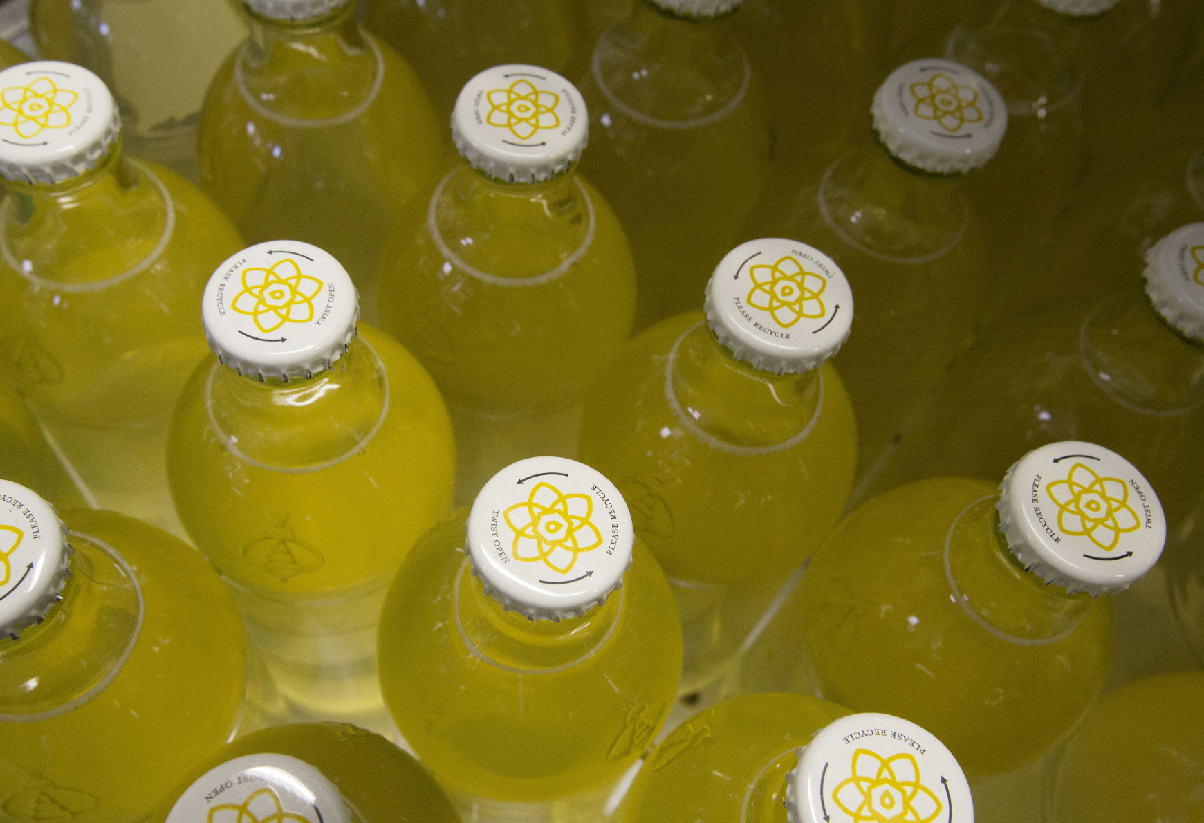 191127-newslocal-kombucha 05.jpg